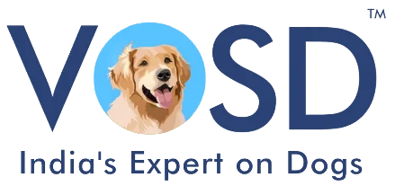 Home 19 VOSD Logo 1