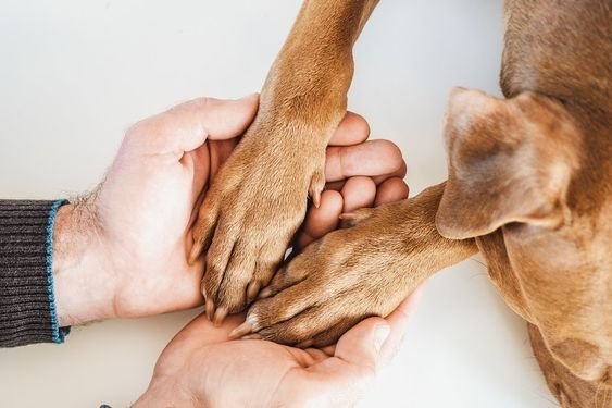 doglegs-blog doglegs-blog